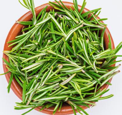 Sri Herbals Rosemary Leaf | Premium Herb for health and Wellness